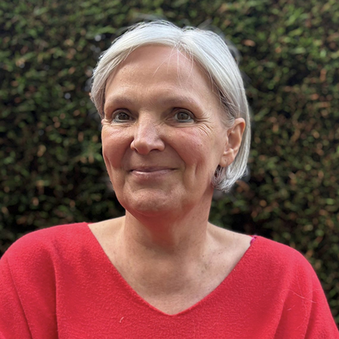 VOLKAERTS INGE